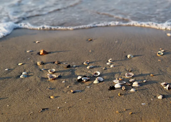 Апартаменты Lovely Flat Close To The Beach-beahost Бибионе