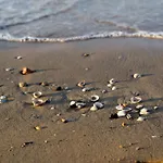 Lovely Flat Close To The Beach-beahost Apartman Bibione