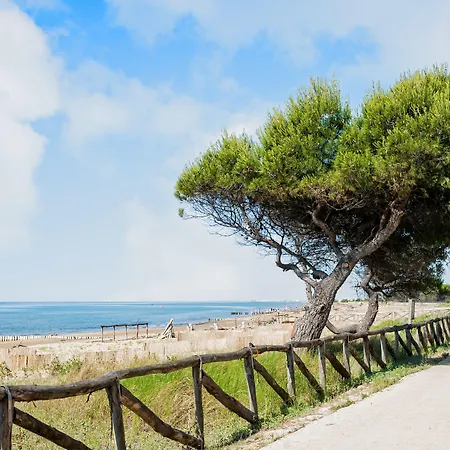 Lovely Flat Close To The Beach-beahost Apartment *