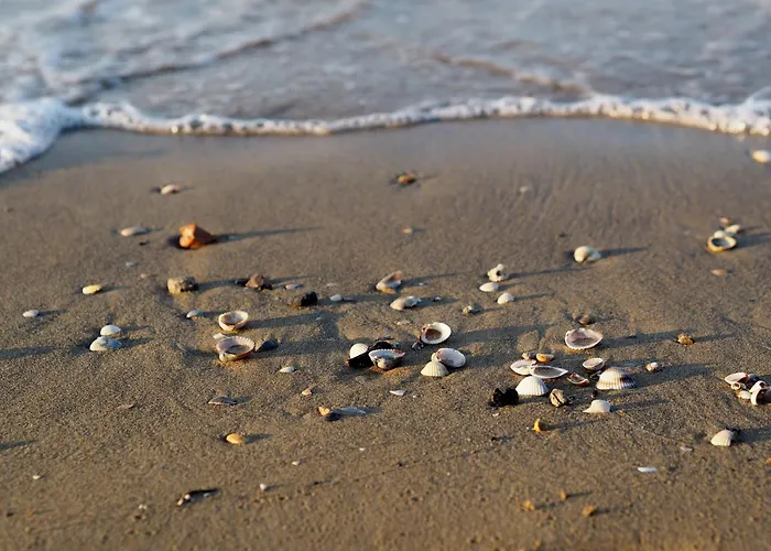 Lovely Flat Close To The Beach-beahost Apartment Bibione